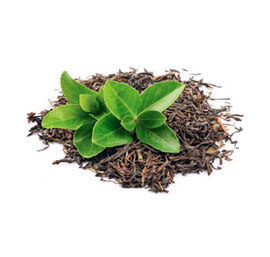 Herbal Green Tea Powder