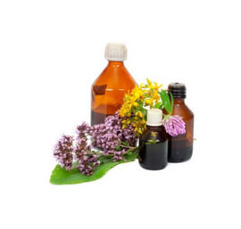 Controls Blood Sugar Levels